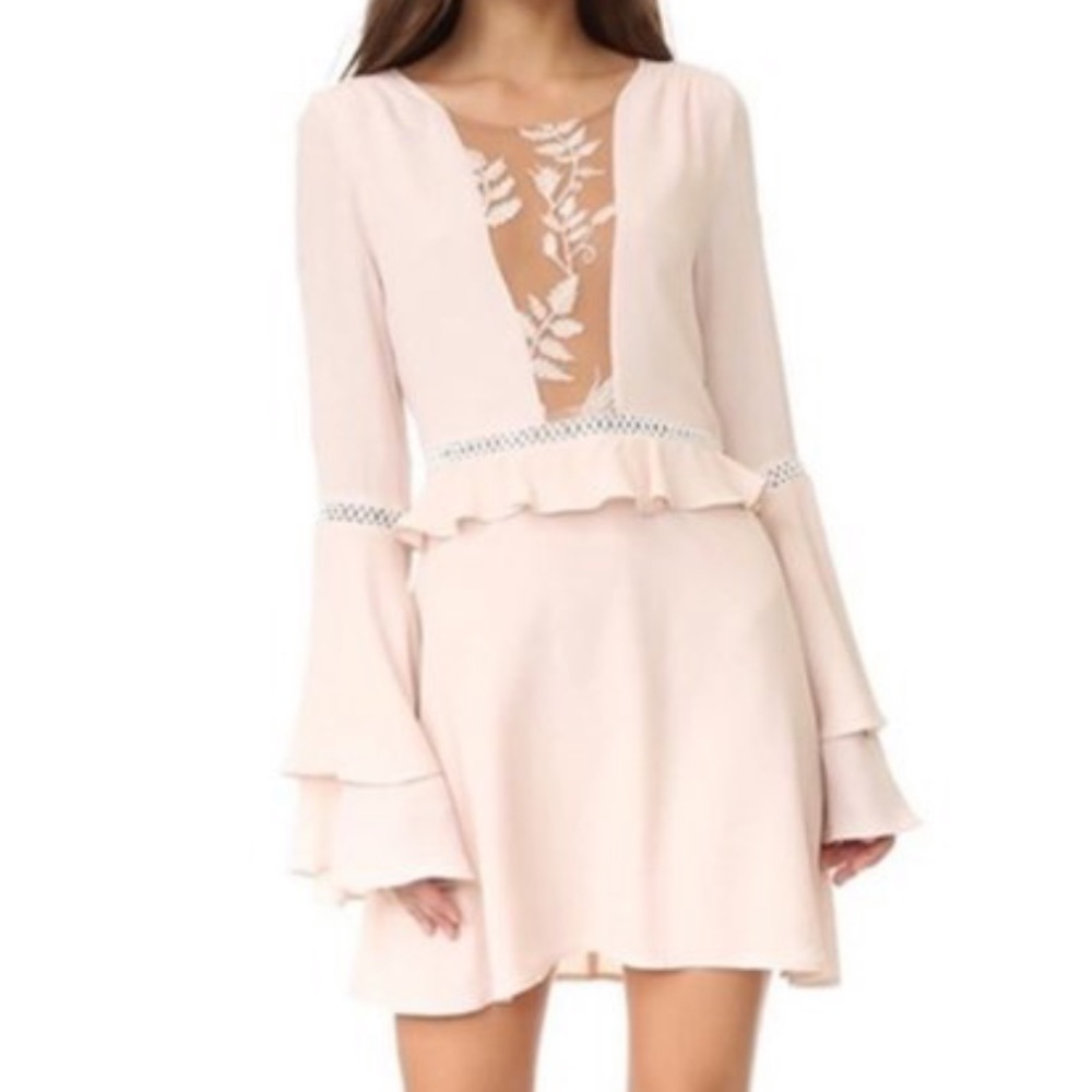 For Love & Lemons / Emilia Mesh Flare Mini Dress - Picture 2 of 14